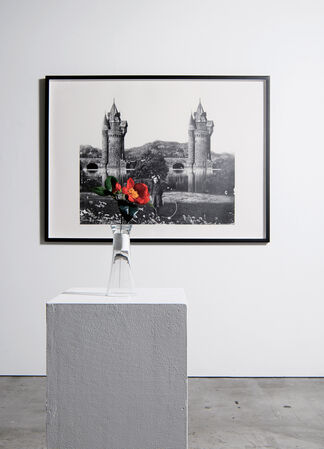 BEHIND THE GARDEN | Kazuo Okazaki , Shinji Ogawa, installation view