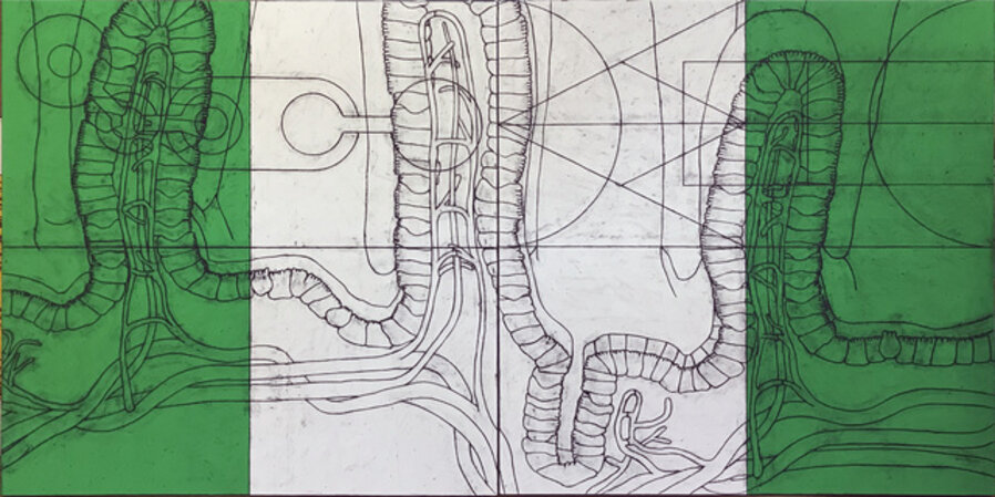 Untitled (Small Intestine)