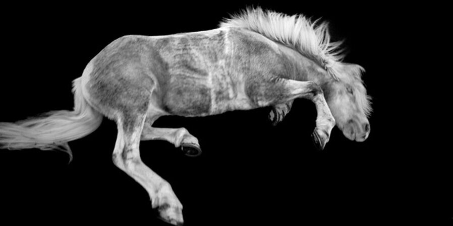 A horse rolling in the black sand