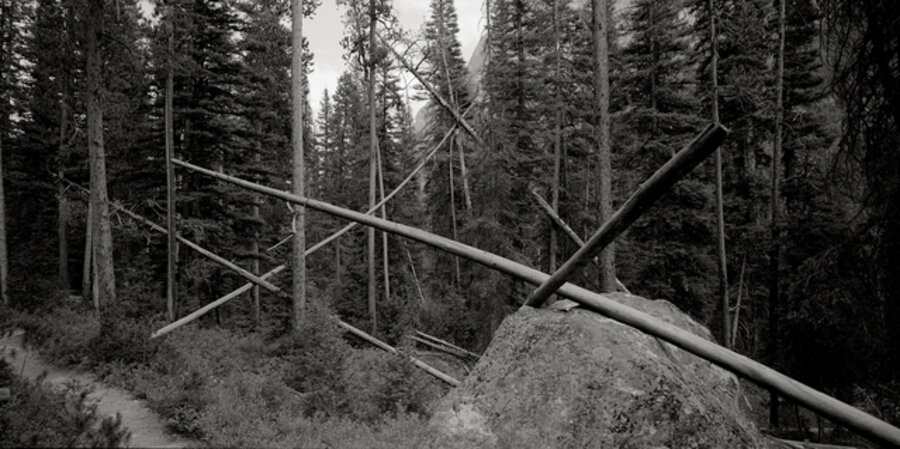 Jack Straw Timber, Sawtooth Mountains, Idaho