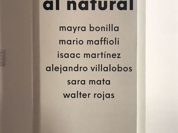 Cover image for Al Natural - Nature Itself