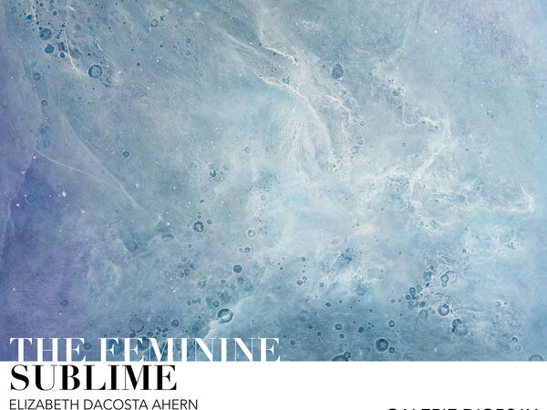 Cover image for The Feminine Sublime