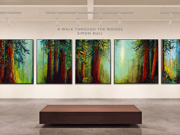 Cover image for A Walk Through The Woods : Simon Bull Paints the Colors of Fall