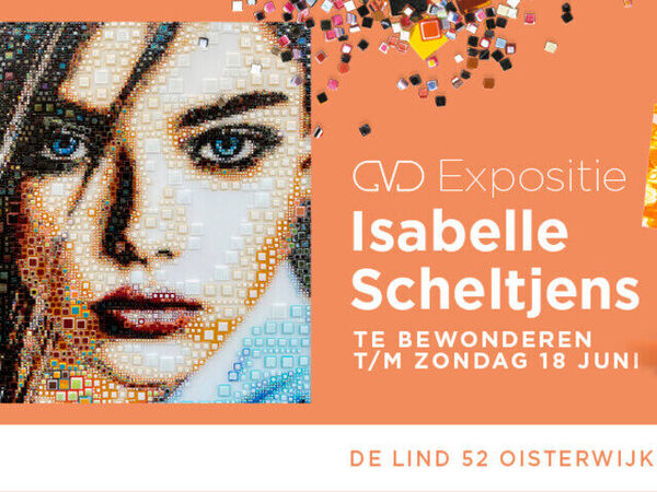 Cover image for Isabelle Scheltjens