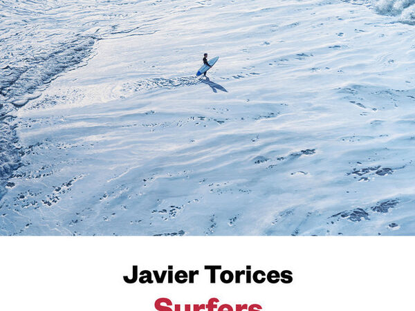 Cover image for Surfers