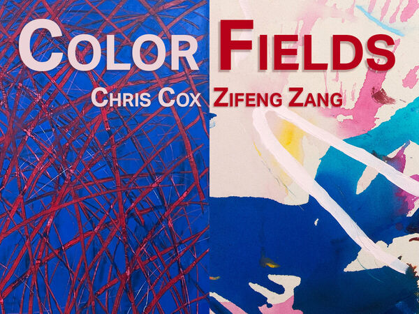 Cover image for Color Fields