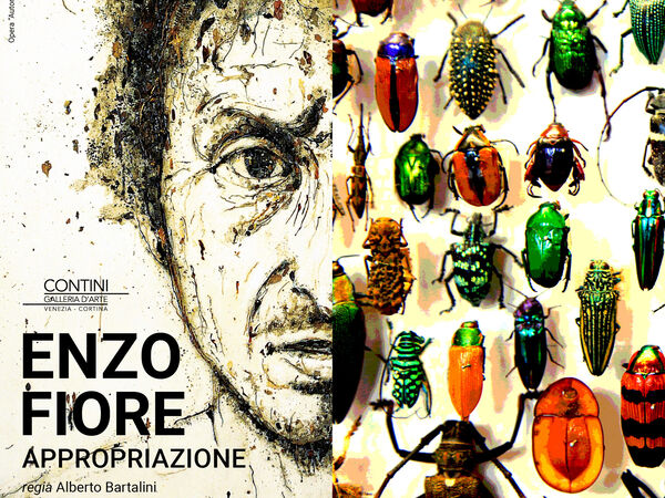 Cover image for Enzo Fiore - Appropriation