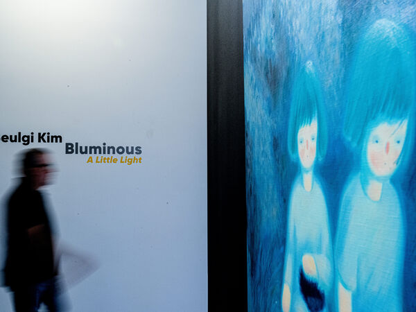 Cover image for Bluminous a little light