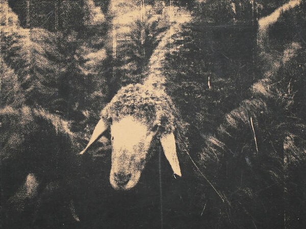 Cover image for Menashe Kadishman: The Shepherd