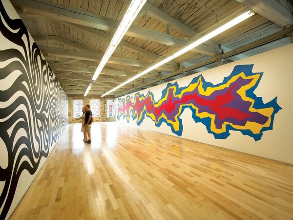 Cover image for Sol LeWitt: A Wall Drawing Retrospective