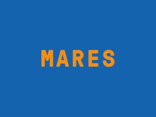 Cover image for Mares