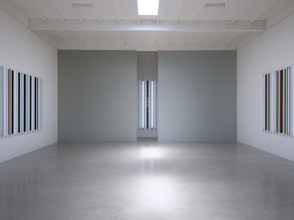 Cover image for ROBERT IRWIN: DRAWINGS