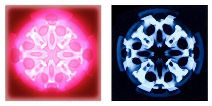 Life and Extinction (a pair of Sculptographs)
