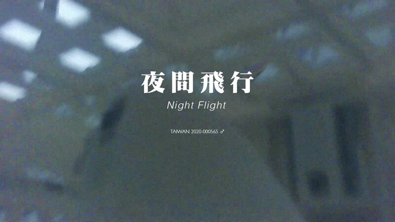 Lee Lichung, ‘Night Flight’, 2021, Video/Film/Animation, Video, Color with Sound, Powen Gallery