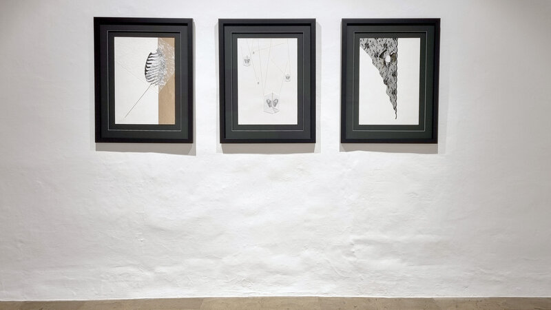 Romina Rivero, ‘Anatomía de las luciérnagas’, 2021, Drawing, Collage or other Work on Paper, "Awagami Kozo" paper, woven, natural silk, graphite and metallic thread, Galería Artizar