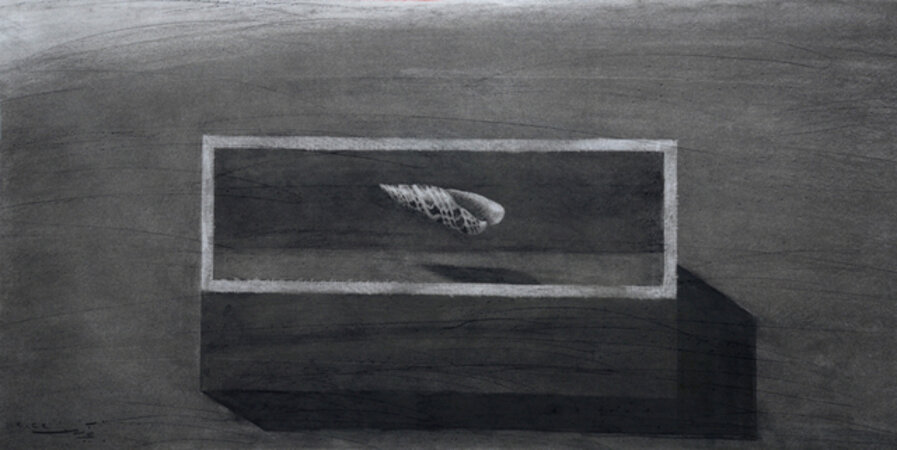 Le Coquillage