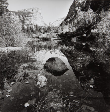 Lee Friedlander, ‘Yosemite, National Park, California’, 2003