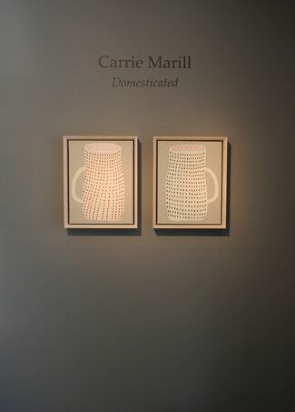 Carrie Marill: Domesticated, installation view