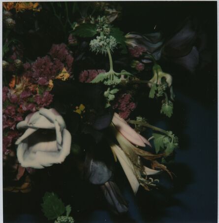 Nobuyoshi Araki, ‘Flower’, 2006-2009