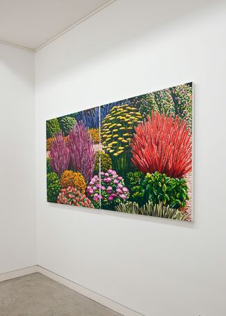 Karl Maughan, installation view