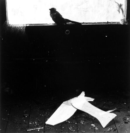 Ralph Eugene Meatyard, ‘Untitled - Bird on Window Ledge’, 1966