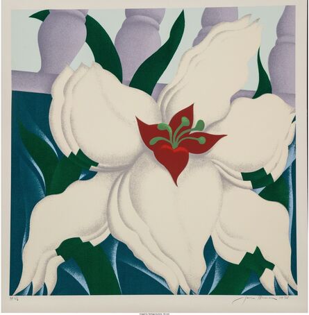 Jack Brusca, ‘Flower’, 1978
