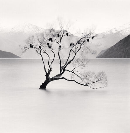 Michael Kenna, ‘Wanaka Lake Tree, Study 2, Otago, New Zealand’, 2013