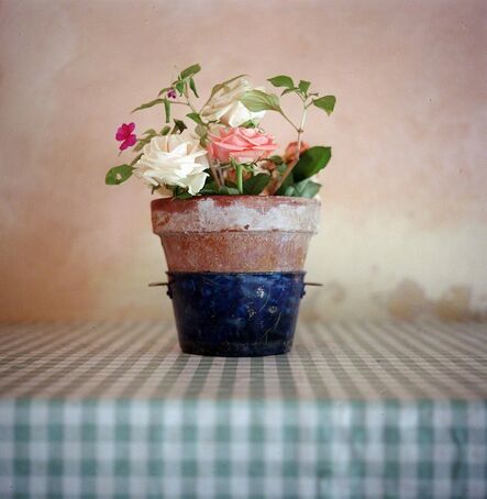 Allison V. Smith, ‘Flowerpot. Lucca, Italy’, June 2004
