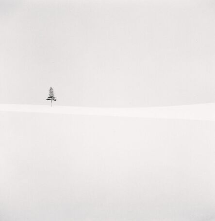 Michael Kenna, ‘Delicate Tree, Furano, Hokkaido, Japan.’, 2012