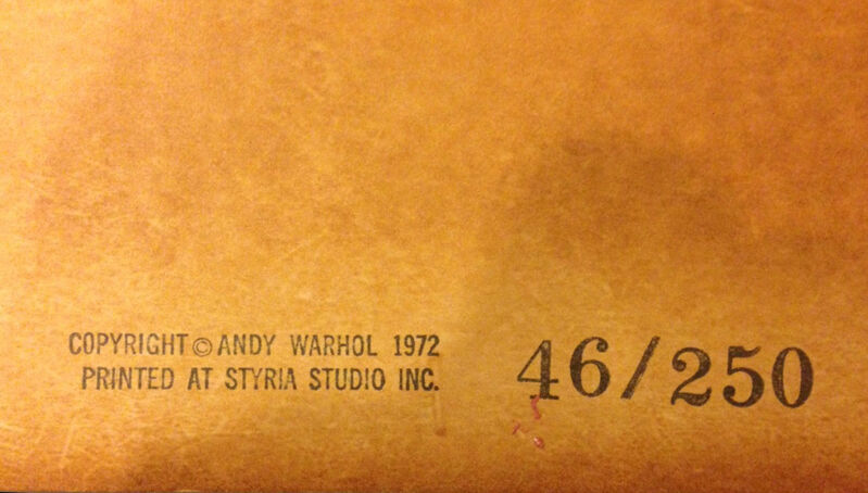 Andy Warhol, ‘Mao’, 1972, Print, Color Silkscreen, RestelliArtCo.