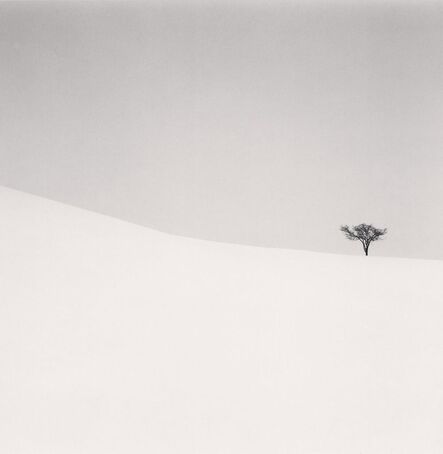 Michael Kenna, ‘Single Tree, Mita, Hokkaido, Japan. ’, 2007