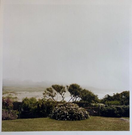 Peter C. Jones, ‘Wild Roses, Large Format Photo 24X20 Color Photograph Beach House’, 2000-2009