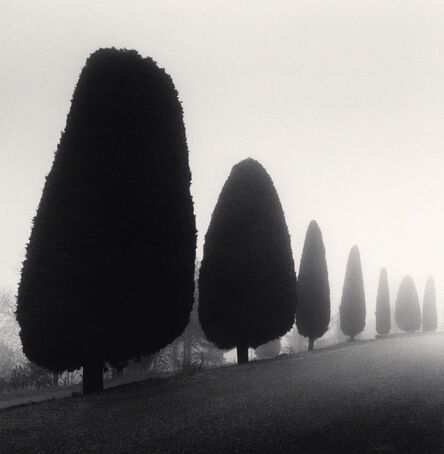 Michael Kenna, ‘Seven Trees, Castello di Canossa, Italy’, 2007