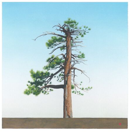 Greg Rose, ‘Waterman Tree [N34*20.193+W117*56.124]’, 2014