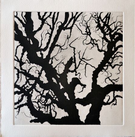 Nate Cassie, ‘Tree Series: Normana III’, 2011