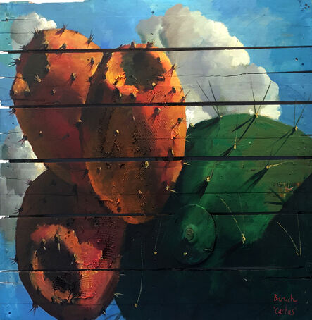 Ilan Baruch, ‘Cactus’, 1974-now