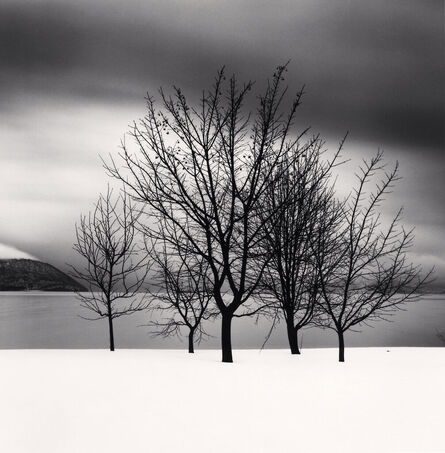 Michael Kenna, ‘Five Trees, Toya Lake, Hokkaido, Japan. 2004 ’, 2004 