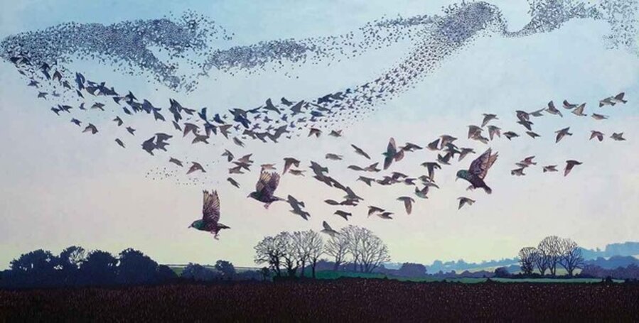 Black Sun, A Bird Ballet