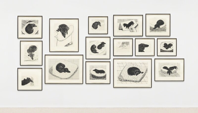 David Hockney, ‘Dog Wall’, 1998, Print, Portfolio of 15 etchings, Pace Prints