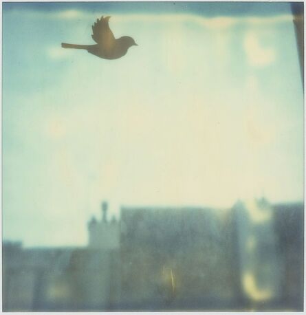 Marion Lanciaux, ‘Toujours - Contemporary, Conceptual, Women, Polaroid, 21st Century, Cityscape, Bird’, 2009