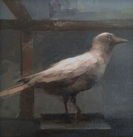 Stephen Bauman, ‘White Crow’, 2016