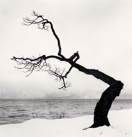 Michael Kenna, ‘Kussharo Lake Tree, Study 15, Kotan, Hokkaido’, 2009