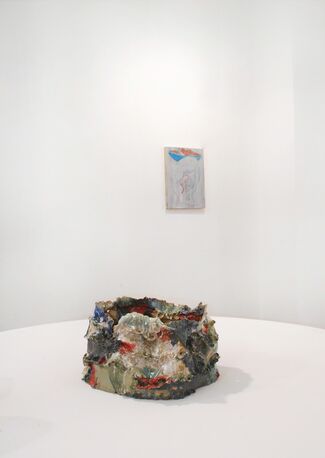 Rx For Viewing - Grant Foster and Jesse Wine, installation view