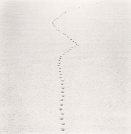 Michael Kenna, ‘Tracks in Snow, Biei, Hokkaido, Japan’, 2013