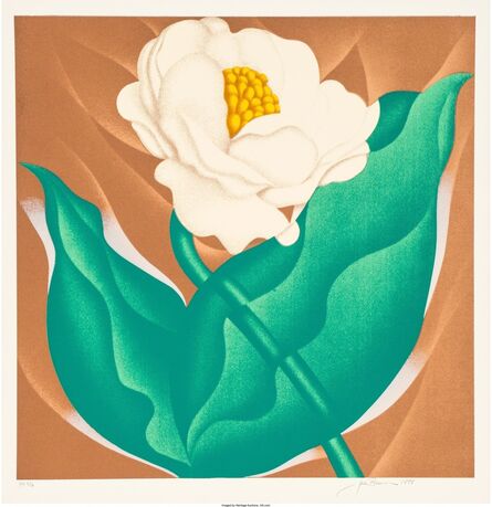 Jack Brusca, ‘Globe Flower’, 1978