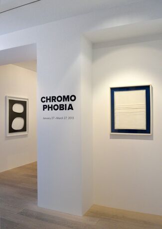 Chromophobia, installation view