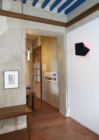 What's essential, installation view