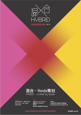 “Hybrid” 混合, installation view