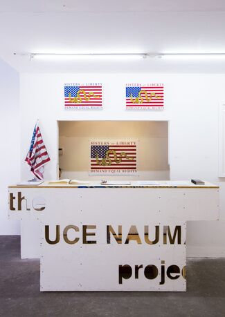 Natalie White For Equal Rights (WhiteBox), installation view