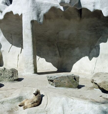 Eric Pillot, ‘Bear cub and cave’, 2012